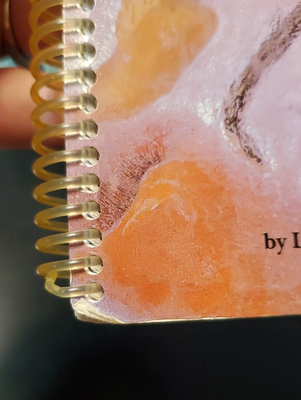 Vintage The Fire‎ N Ice Cookbook